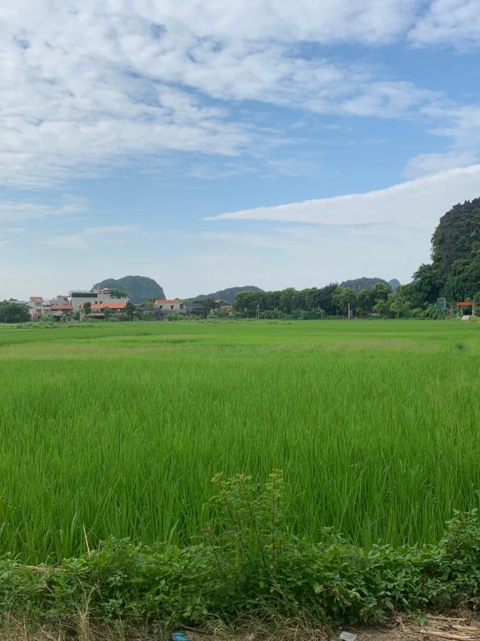 Tam Coc Wonderland Bungalow Ninh Binh Dış mekan fotoğraf