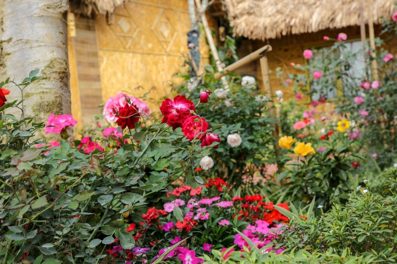 Tam Coc Wonderland Bungalow Ninh Binh Dış mekan fotoğraf